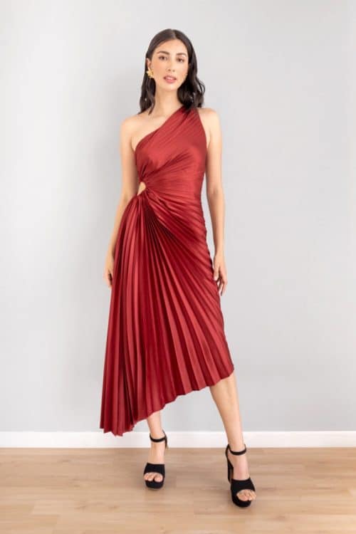 Vestido Plisado Recogido Lateral Vinotinto